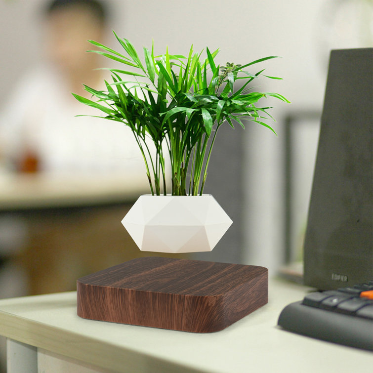 Millwood Pines Levitating Air Bonsai Rotation Flower Pot Planters Levitation Floating